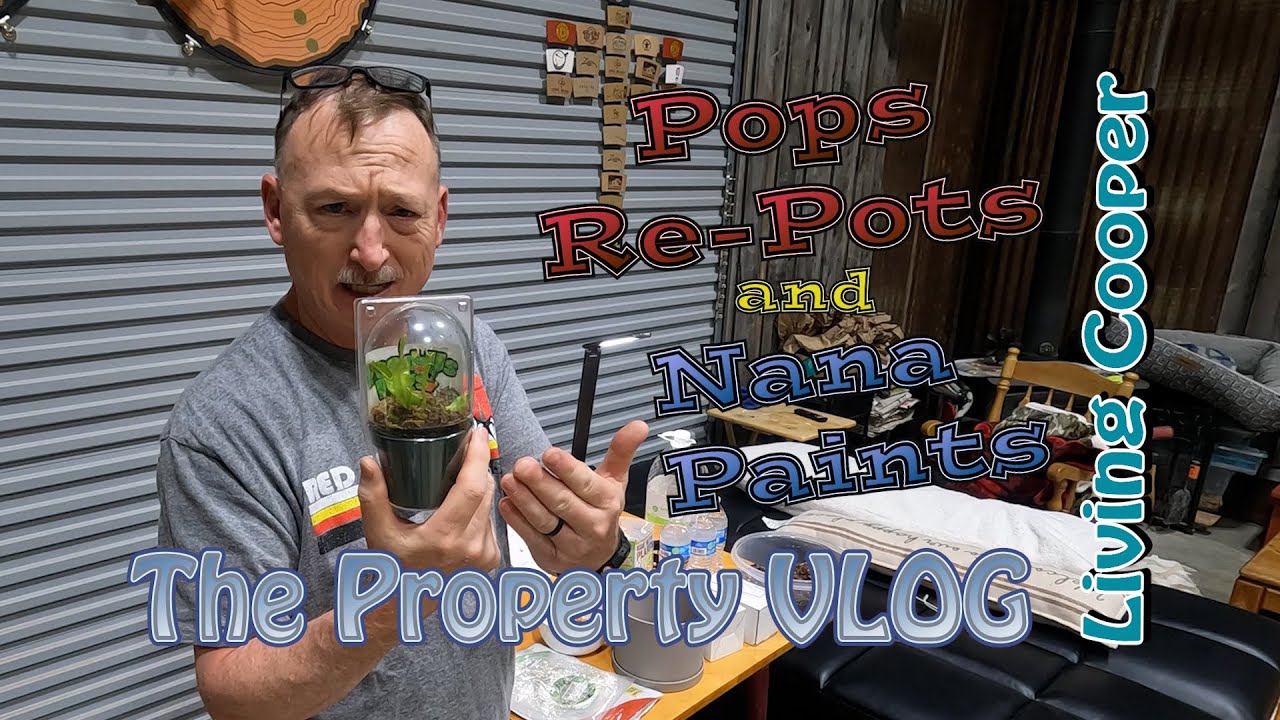 Living Cooper - Property VLOG - Pops Re Pots and Nana Paints