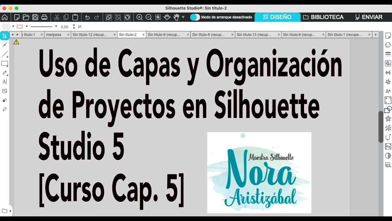 Uso de Capas y Organización de Proyectos en Silhouette Studio 5 [Curso Cap. 5]