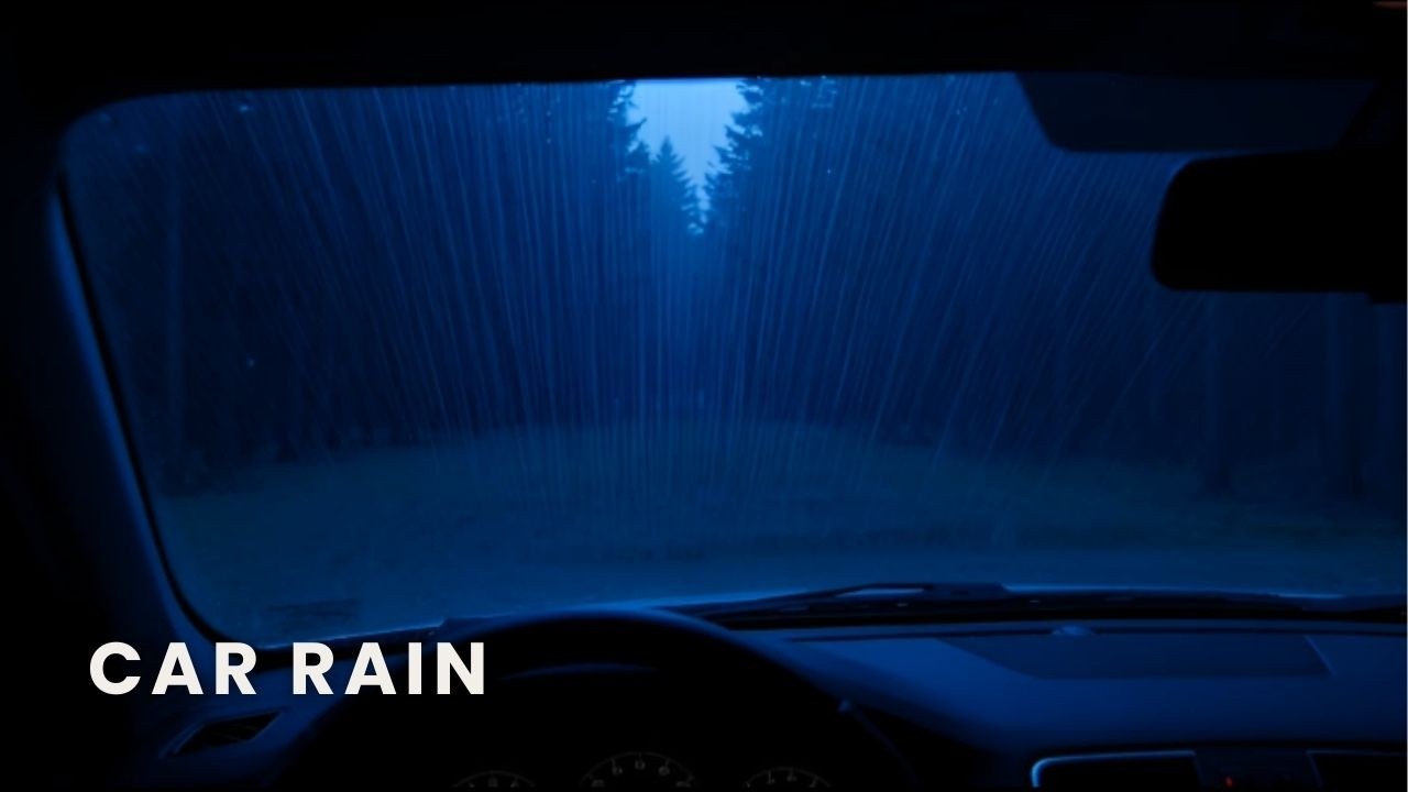Car Rain at Night | 8 Hours Rain Sounds for Deep Sleep & Relaxation