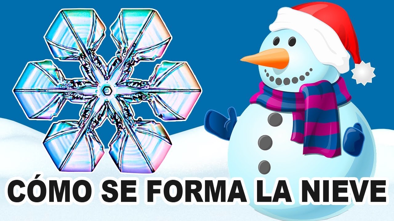 ¿Cómo se forma la nieve? ⛄️ Los principales tipos de copos de nieve ❄️