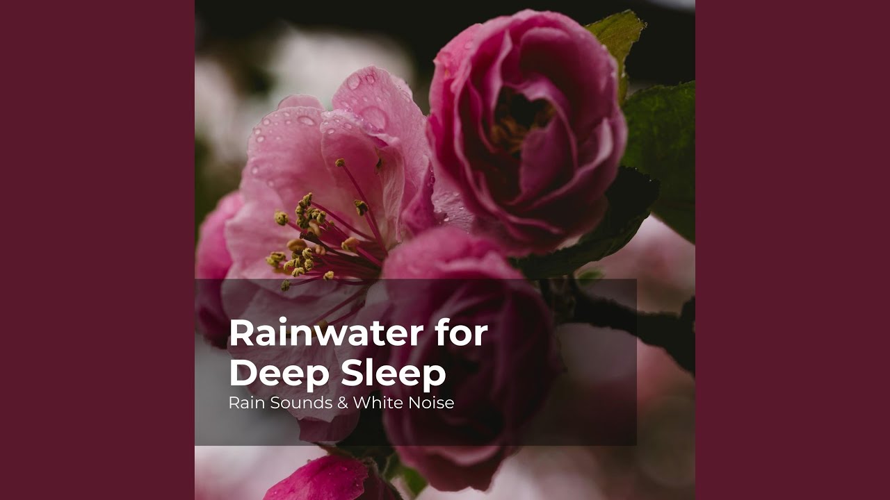 Rain Dripping on Roof