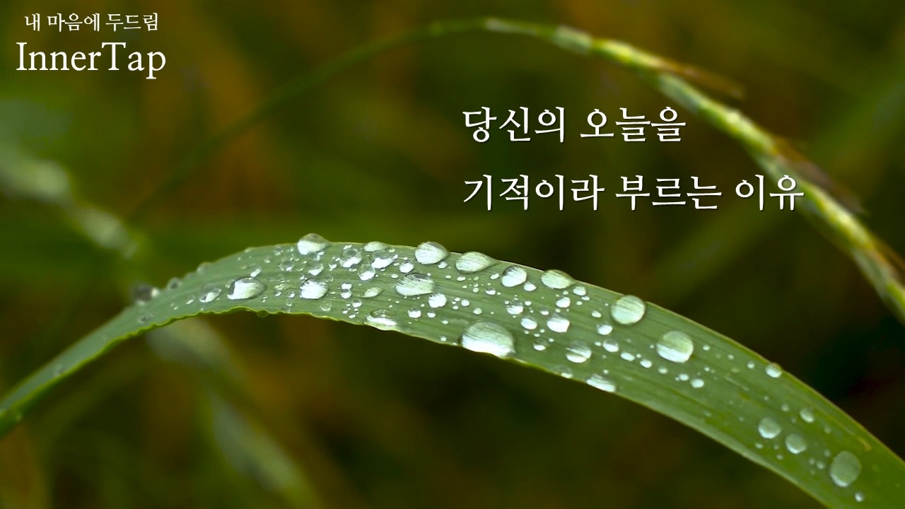 당신의 평범한 오늘이 기적인 이유
