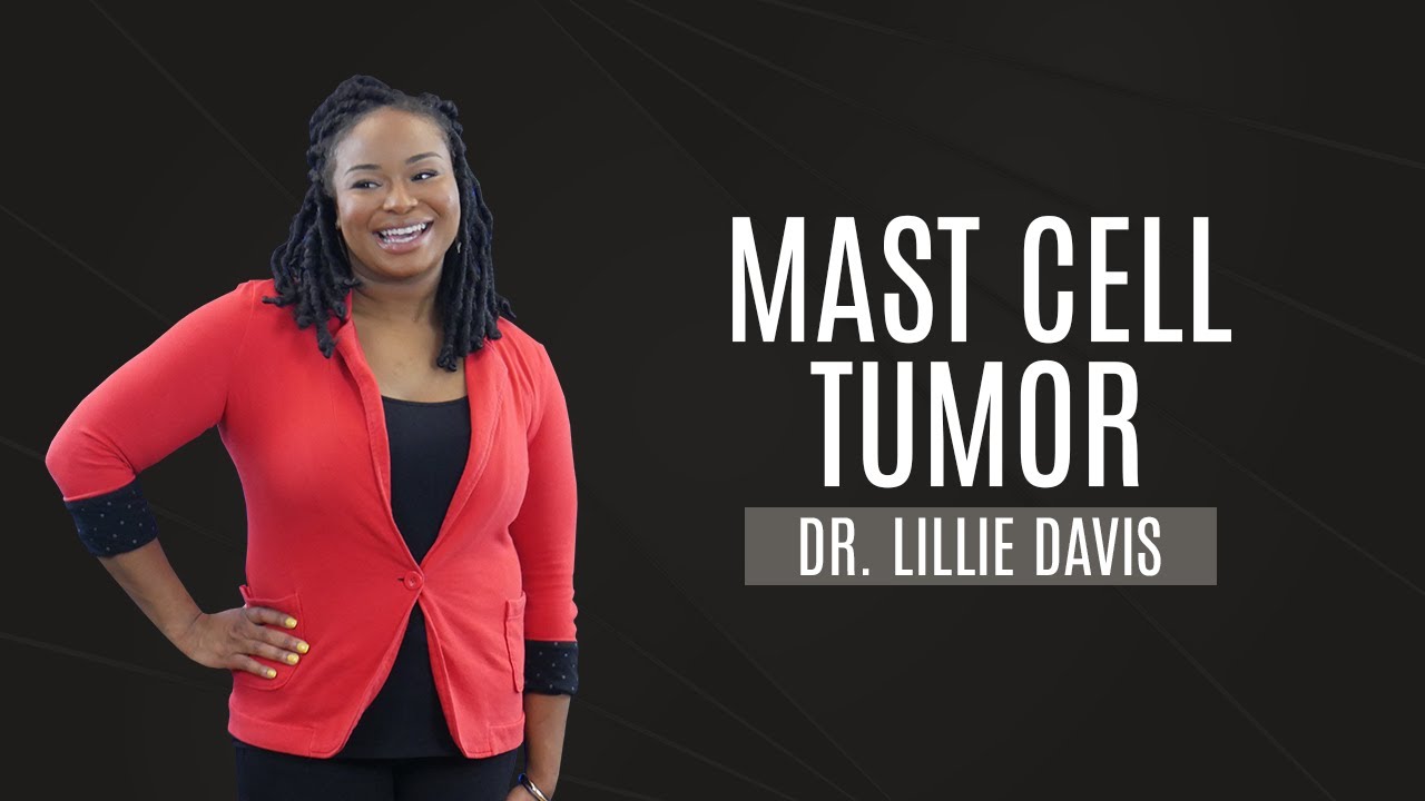 What is the life expectancy of a dog with a mast cell tumor?
