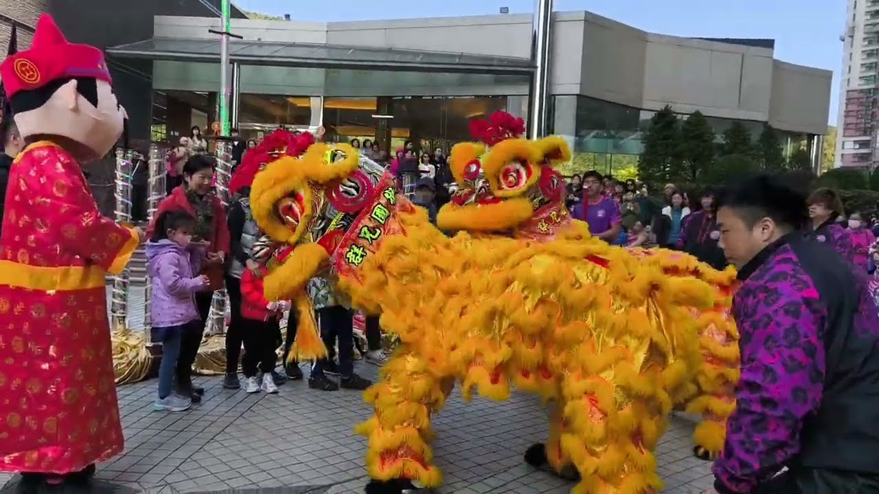 Lion Dance At Royal Ascot Shatin New Territory Hong Kong