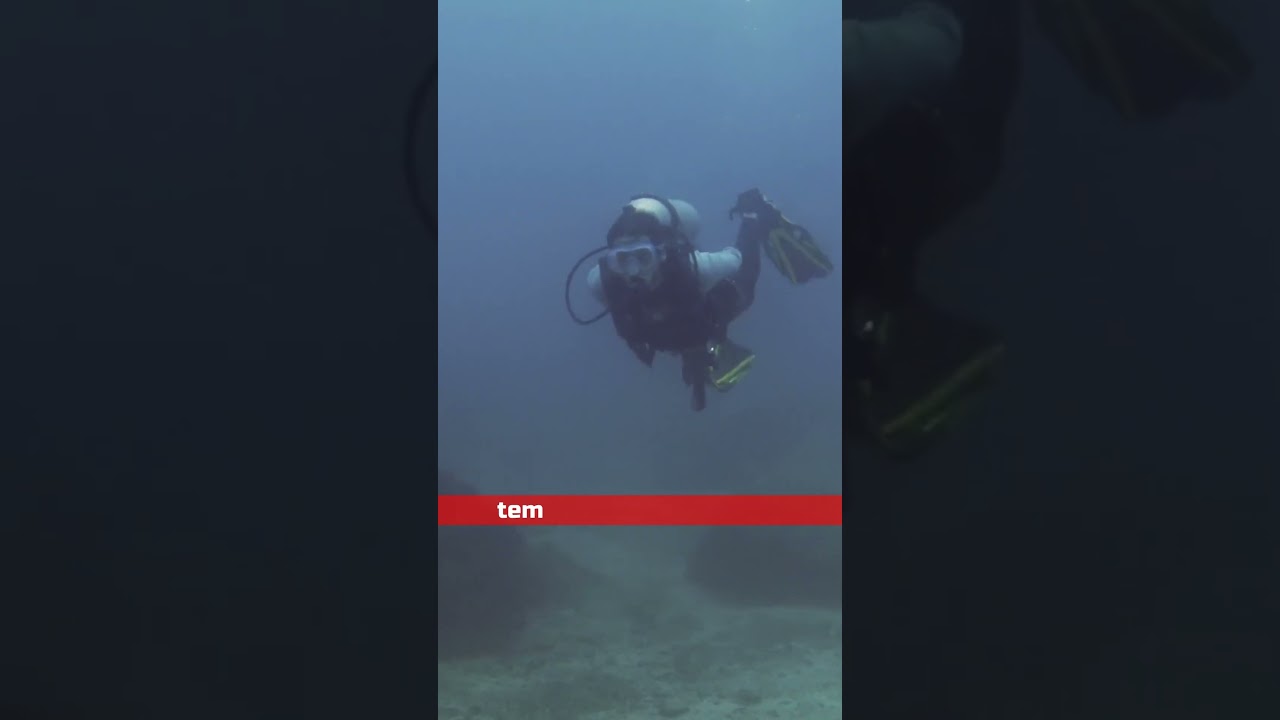 Is Sonar Harmful ?