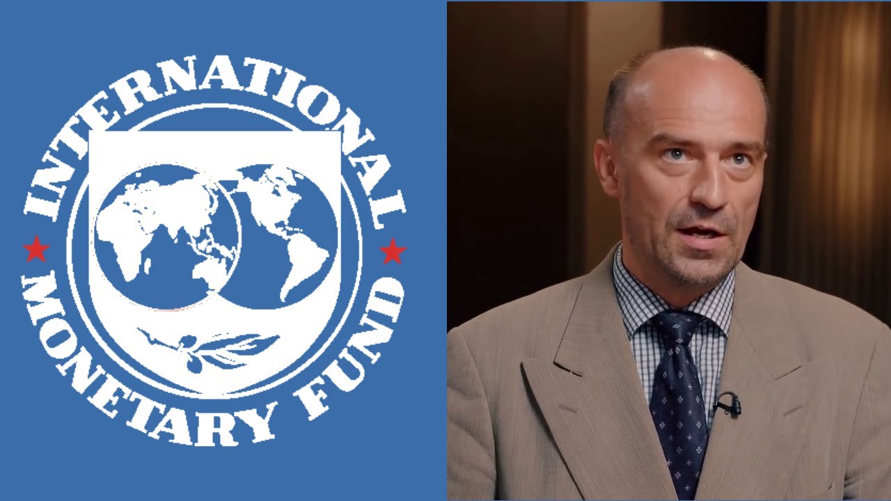 IMF world bank criticism: Economist Richard Werner &bull; Neocolonialism 2022