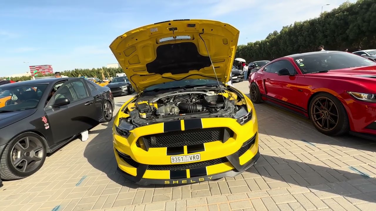 اللقاء مع مالك موستنج GT350 مميز بعتدليات ليمان السعودية