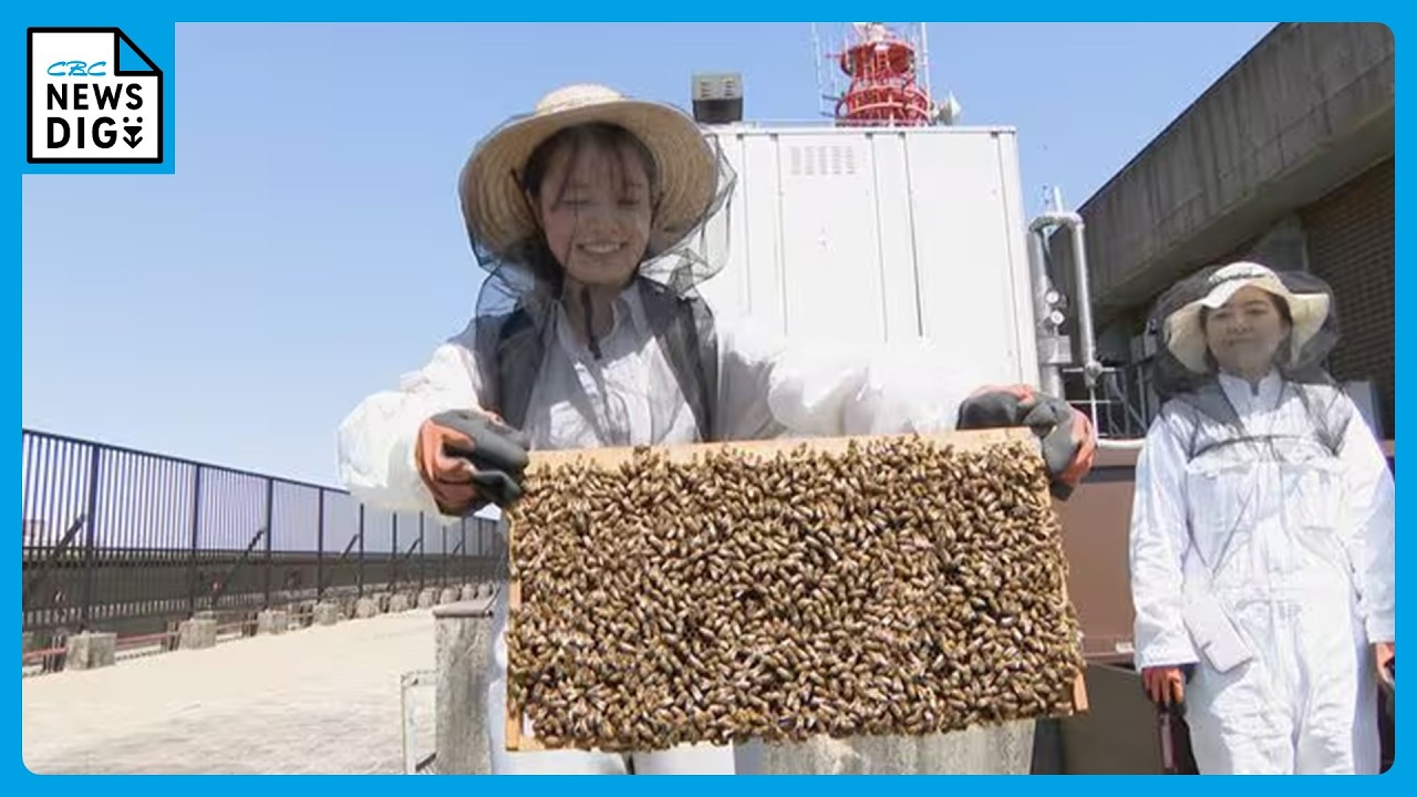 市役所の屋上が&ldquo;養蜂場&rdquo;に!? 名古屋市が約1万匹のミツバチを飼育 今後は市民向けの体験イベントも
