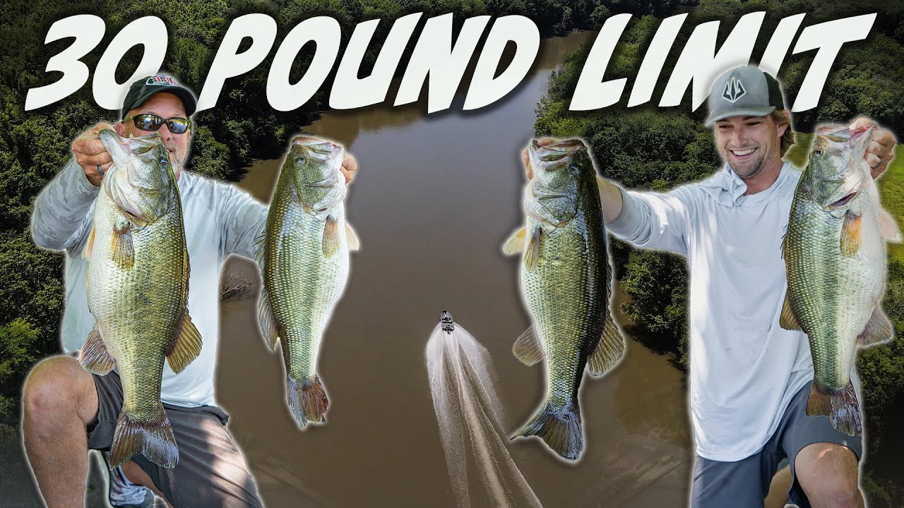 This Little-Known River in Eastern NC Holds GIANT BASS