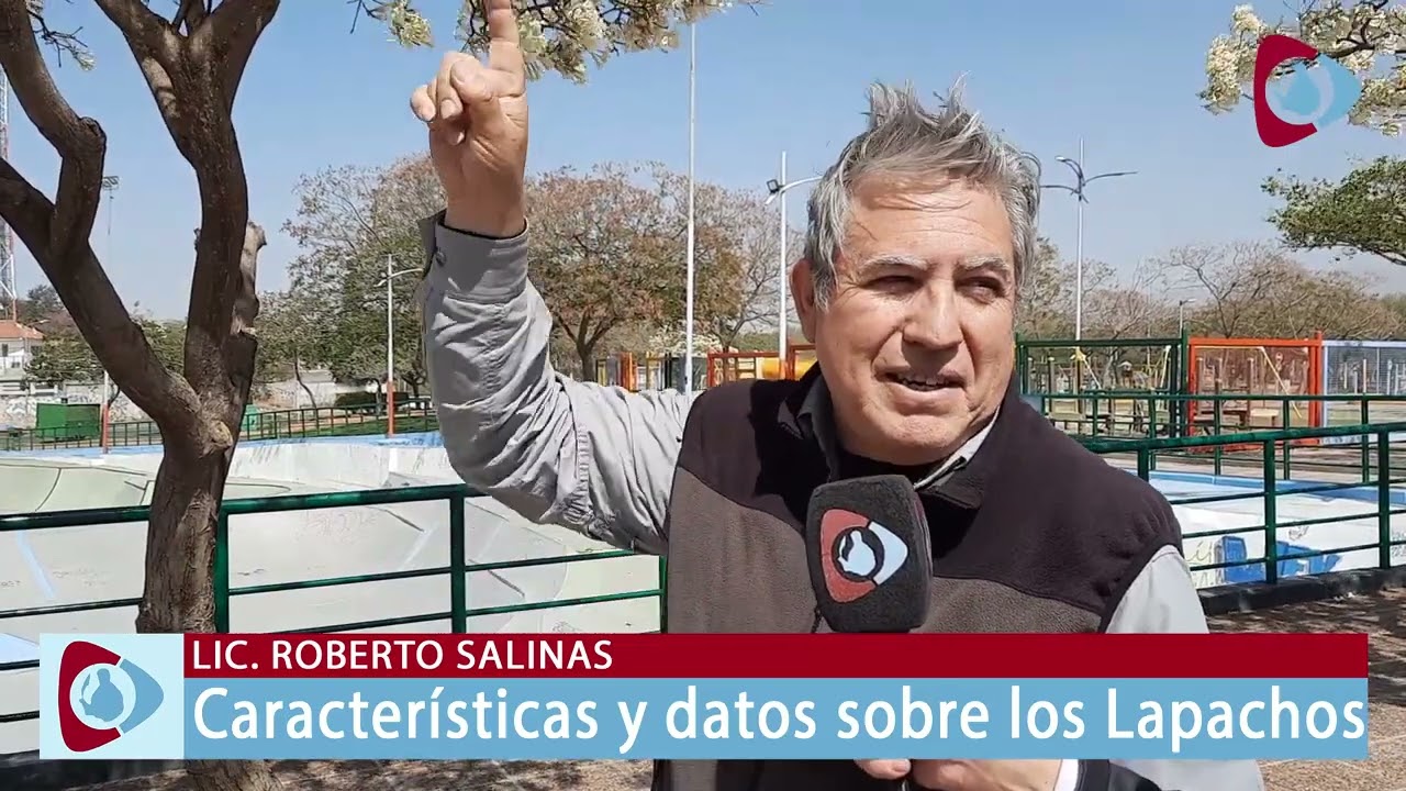 Conoce todo sobre los 