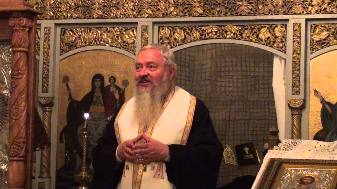 IPS. Andrei Andreicut - Predica la botezul pruncului Alexandru Bogdan, Viile Tecii