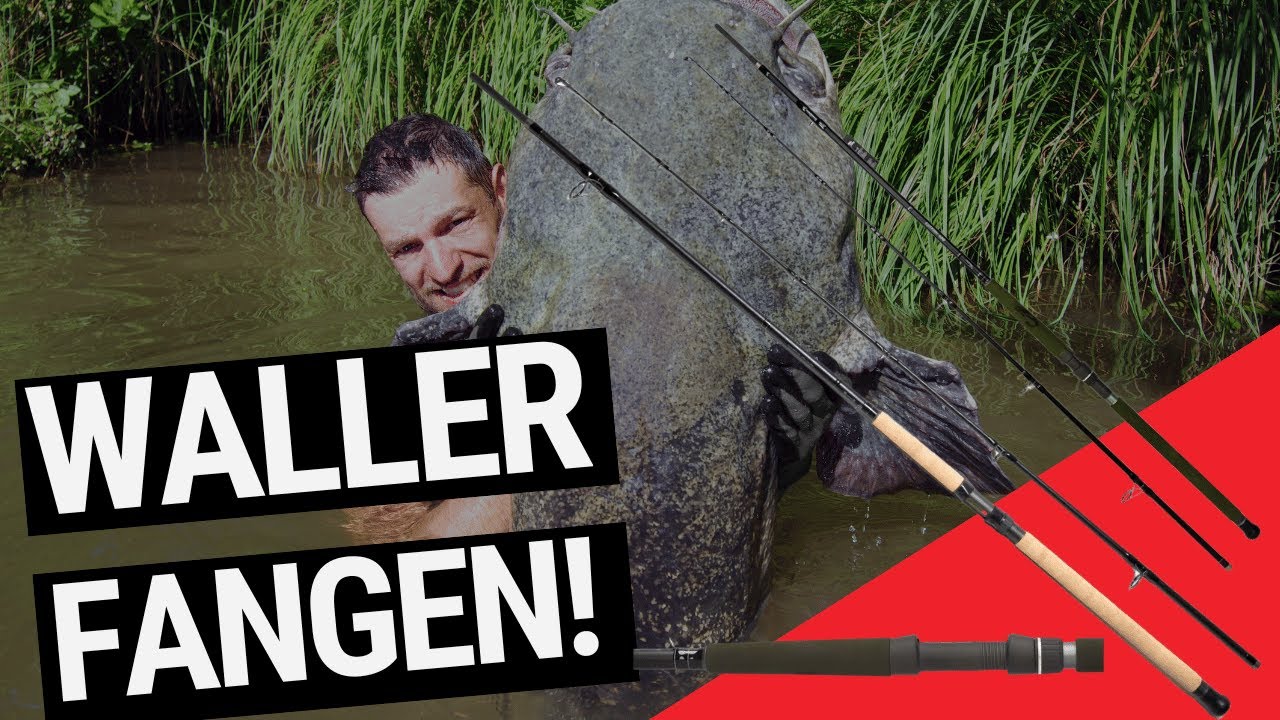 Which catfish rod should you buy? Top recommendations for catfish anglers! Perfect rods for still...