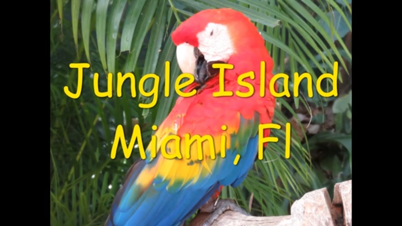 Parrot Jungle (Jungle Island) Miami, Fl
