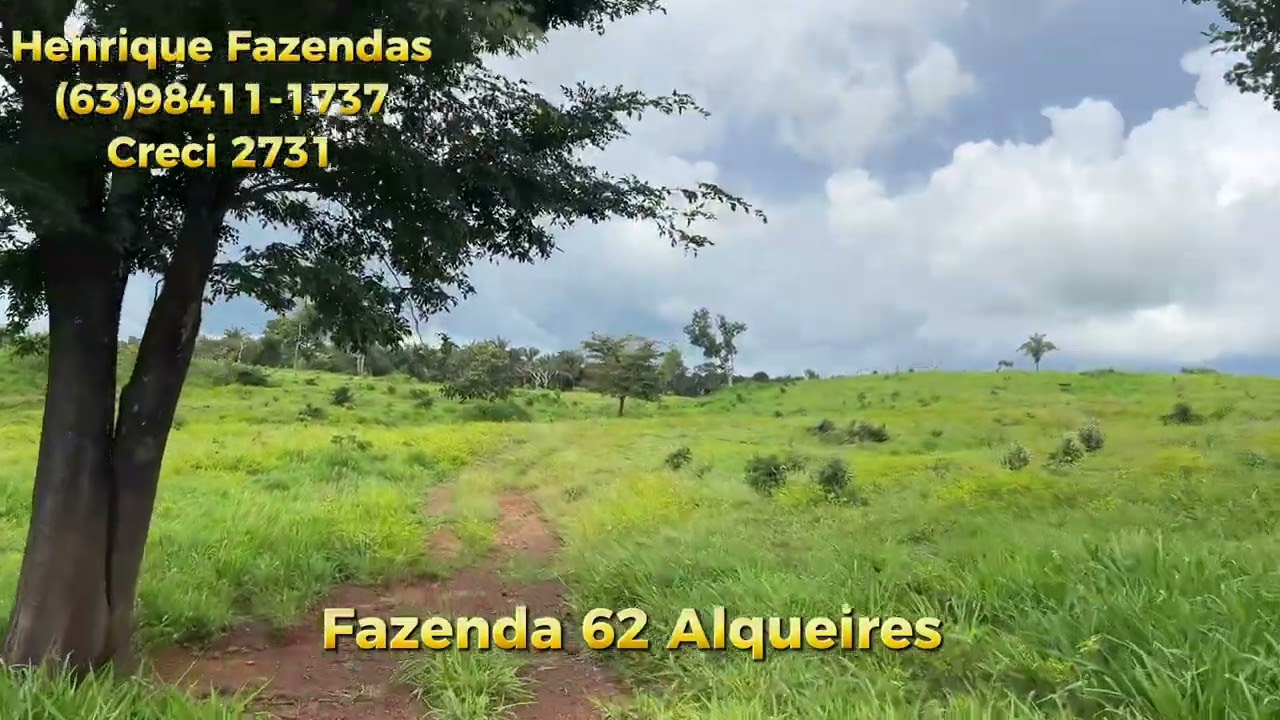FAZENDA DUPLA APTIDÃO NO TOCANTINS 62 ALQUEIRES 43 DE PASTOS FORMADOS