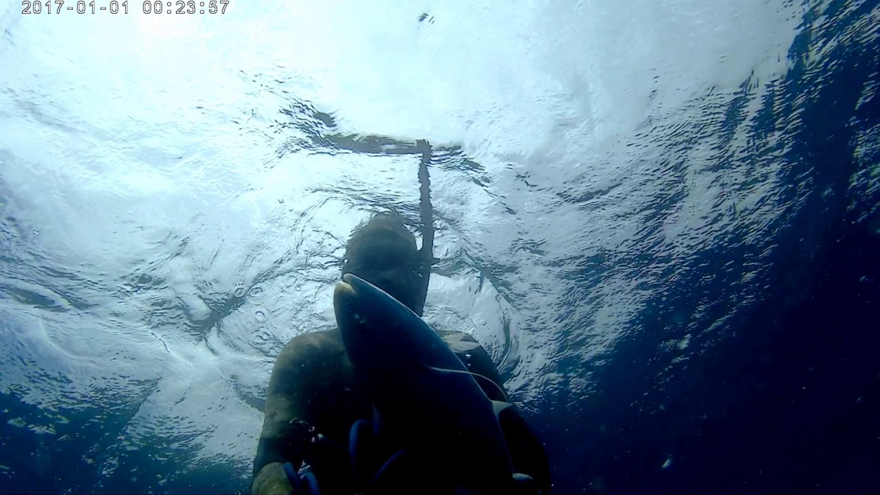Pêche sous-marine Madagascar 2018 avec Philippe Landi