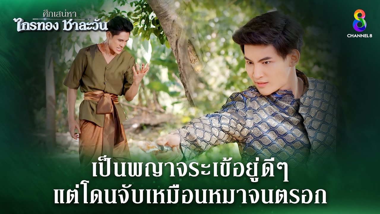 เป็นพญาจระเข้อยู่ดีๆ แต่โดนจับเหมือนหมาจนตรอก | HIGHLIGHT ศึกเสน่หา ไกรทอง ชาละวัน EP.13 | ละครช่อง8