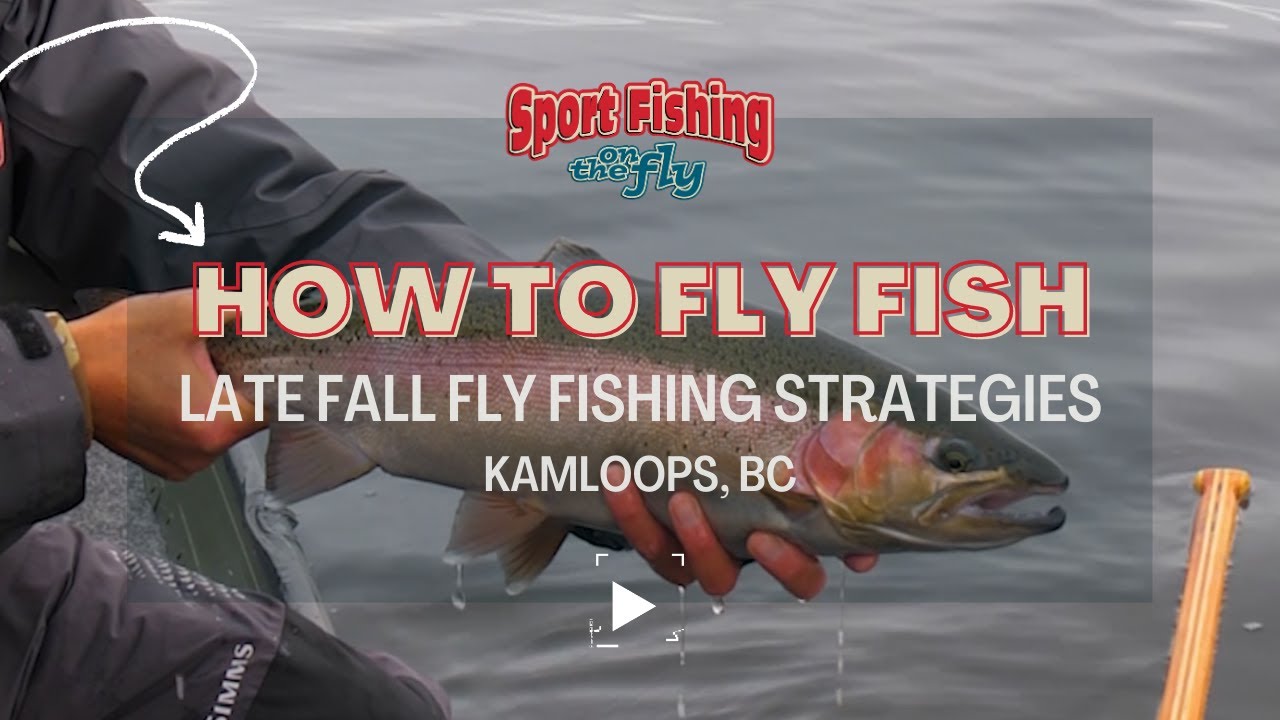 FLY FISHING: LATE FALL FLY FISHING STRATEGIES