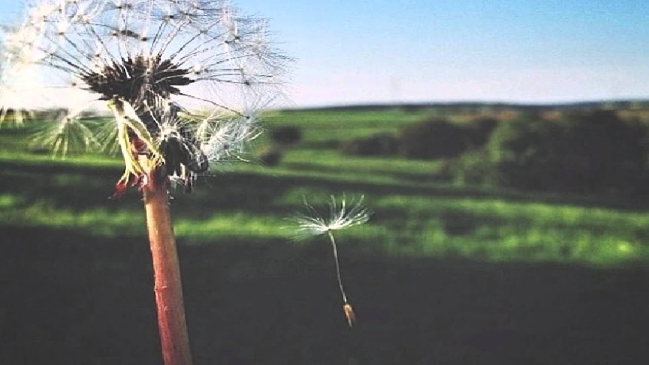 J'Styles-A Song About Nothing