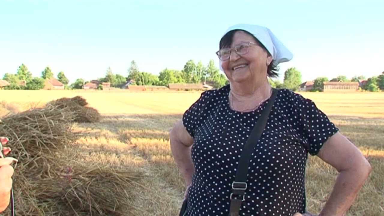 Vidékünkről - Iz naših krajeva - 10. 07. 2025