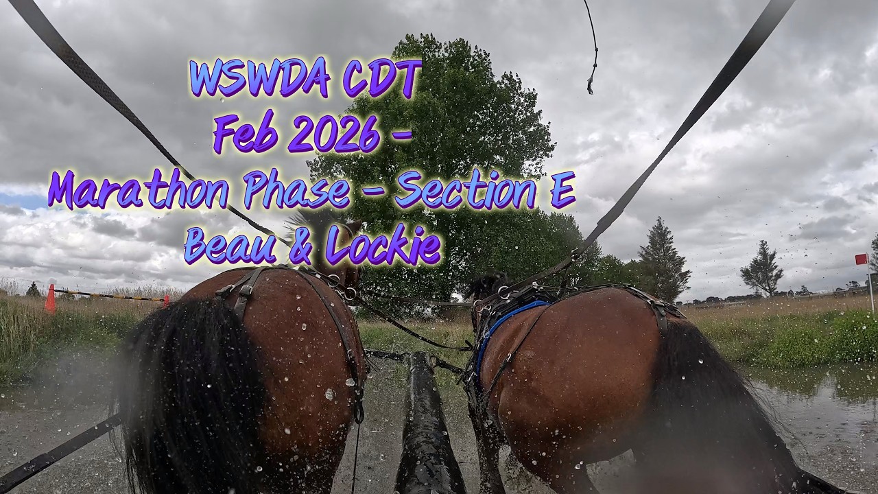 Season 2026 - WSWDA CDT Feb 2026 Lockie and Beau