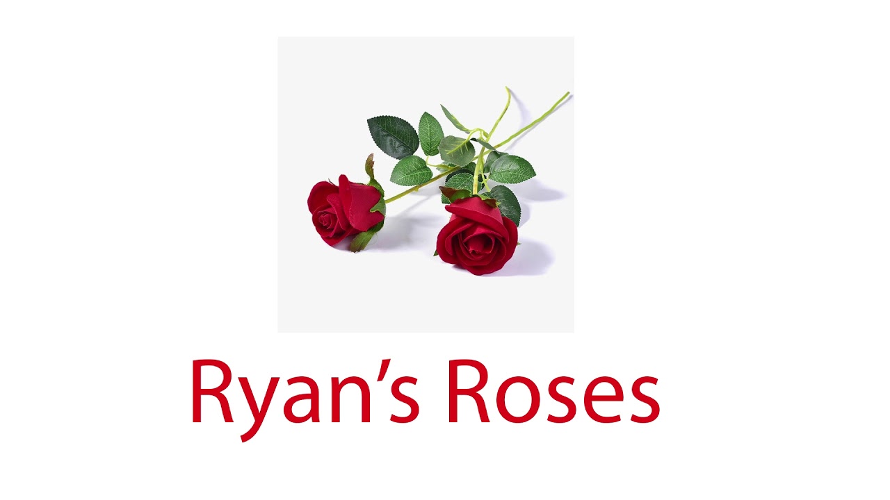 Ryan's Roses: Carina (April 30, 2015)