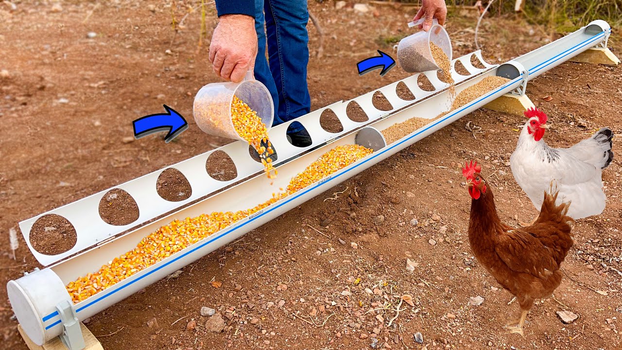 Süper Fikir | PVC Borulardan Mükemmel Tavuk Yemlik ve Suluk Yapımı