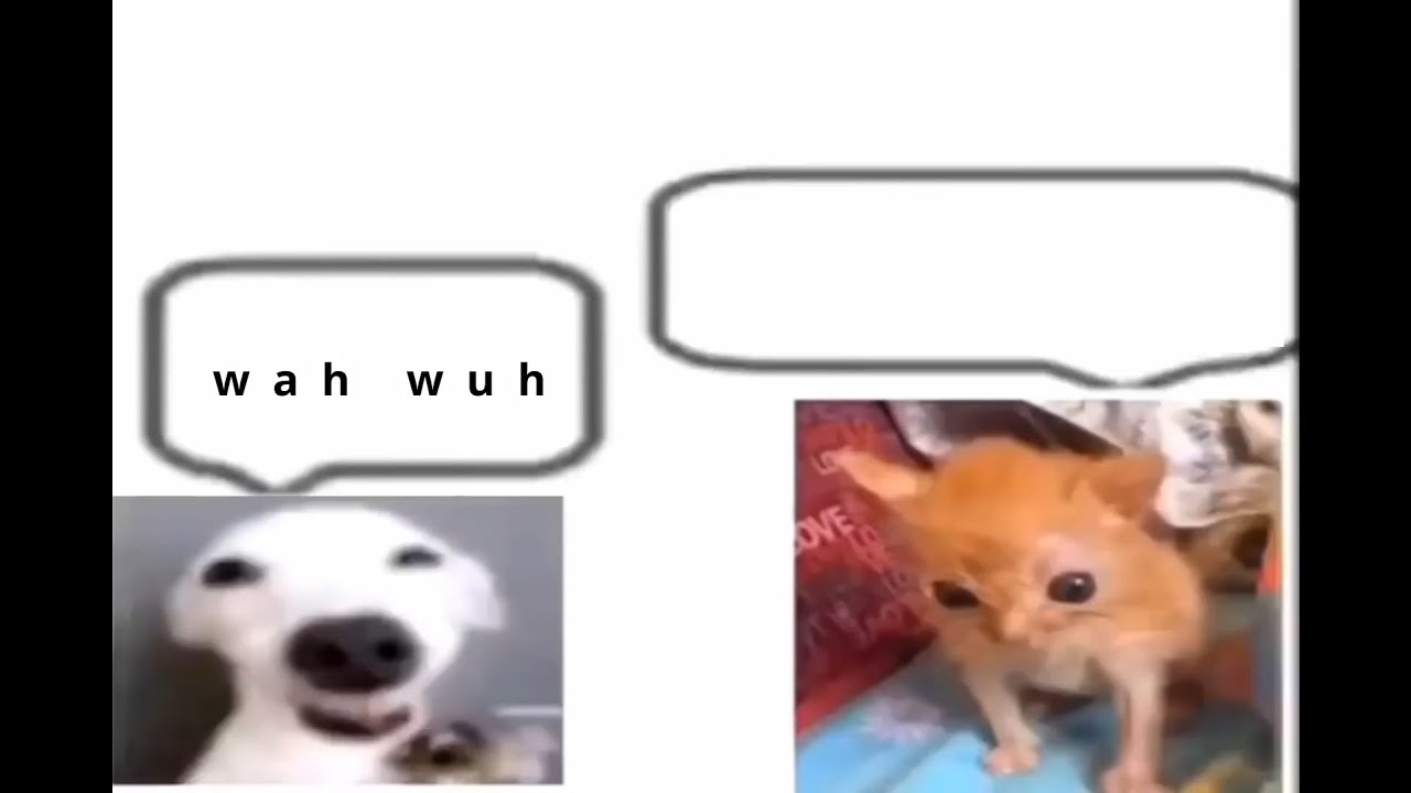 wah wuh