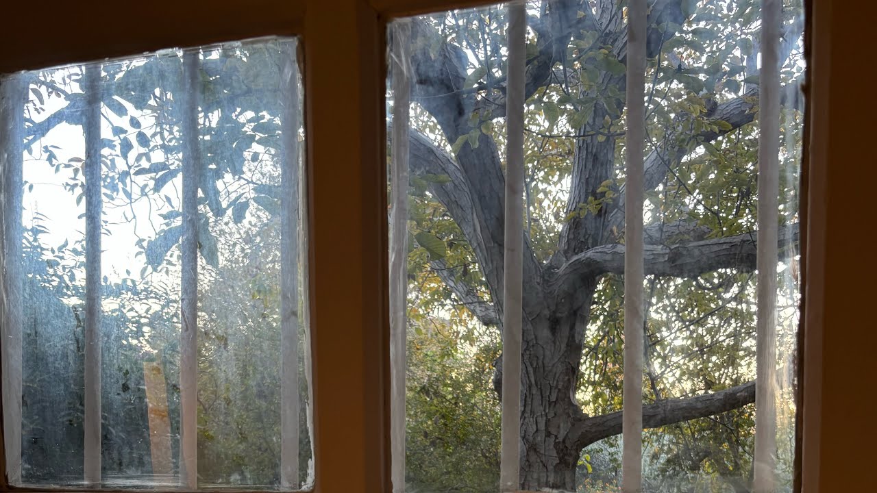 bakugan - rastladığında bana