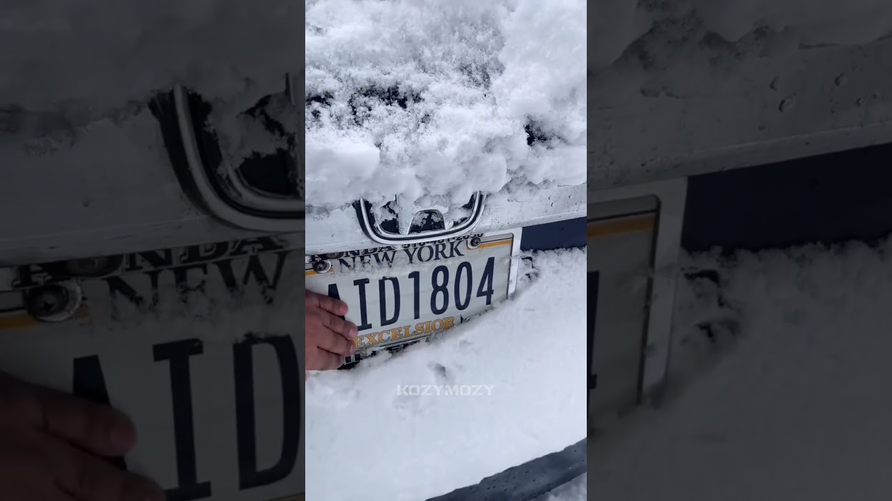 Why do license plates glow? #facts #technology #cars