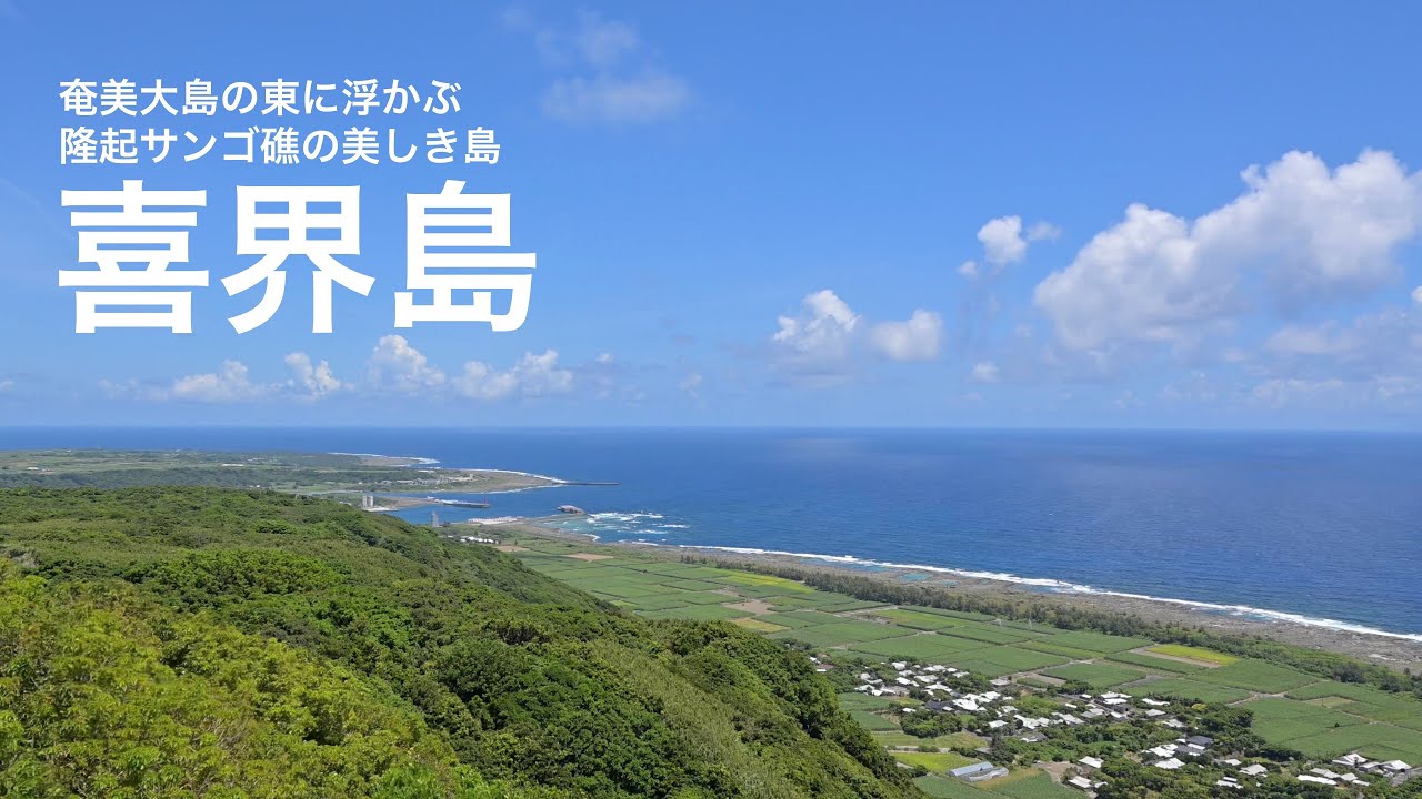 喜界島　奄美大島の東に浮かぶ　サンゴ礁が隆起してできた島
