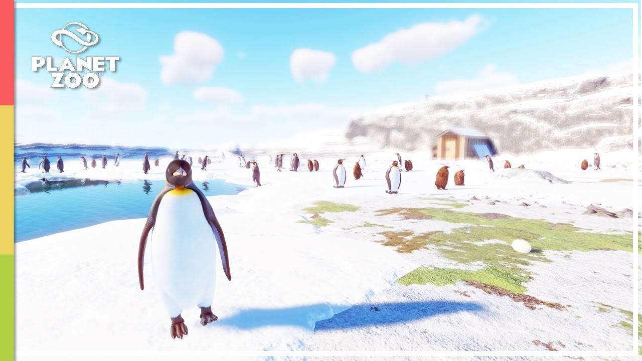 ANTARTICA - Diorama Speed Build [No Commentary]｜Planet Zoo - King Penguin