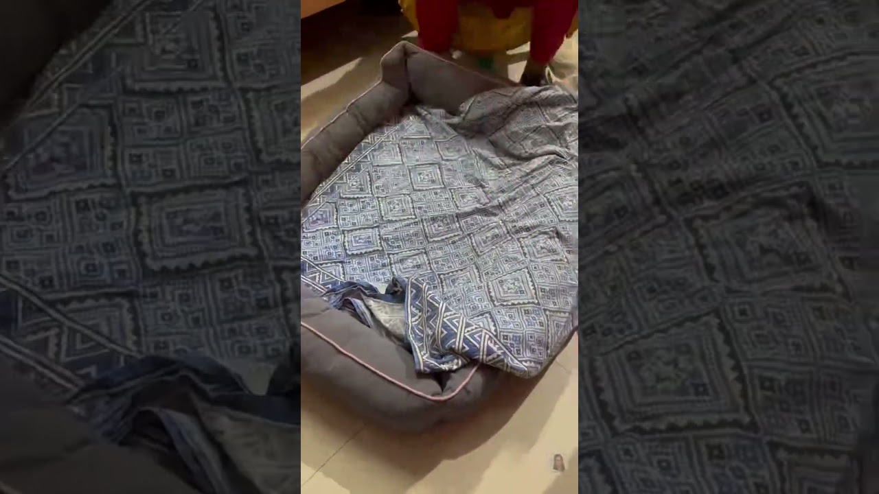 Easy DIY Dog’s Old Bed into New One. 