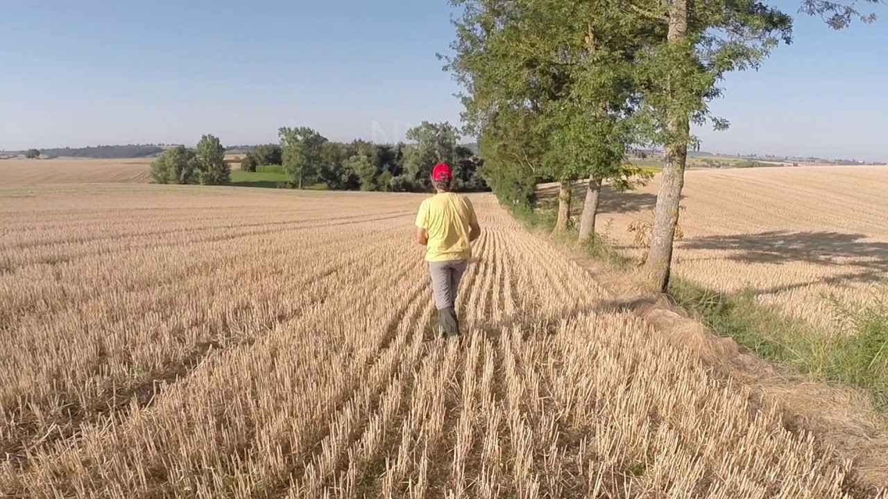 2018 Tan pointer à Caragoudes avec Nikita et Newton du Marais de Palunlongue