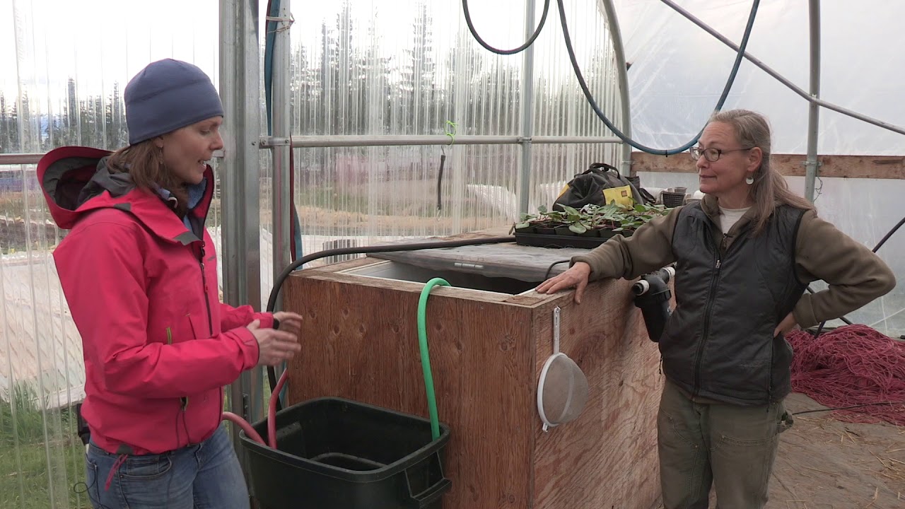 A Rainwater Catchment System for High Tunnels - In the Alaska Garden with Heidi Rader