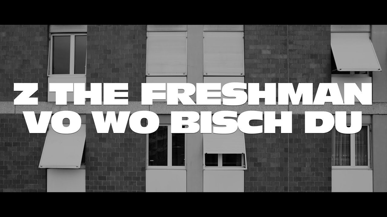 Z THE FRESHMAN - VO WO BISCH DU