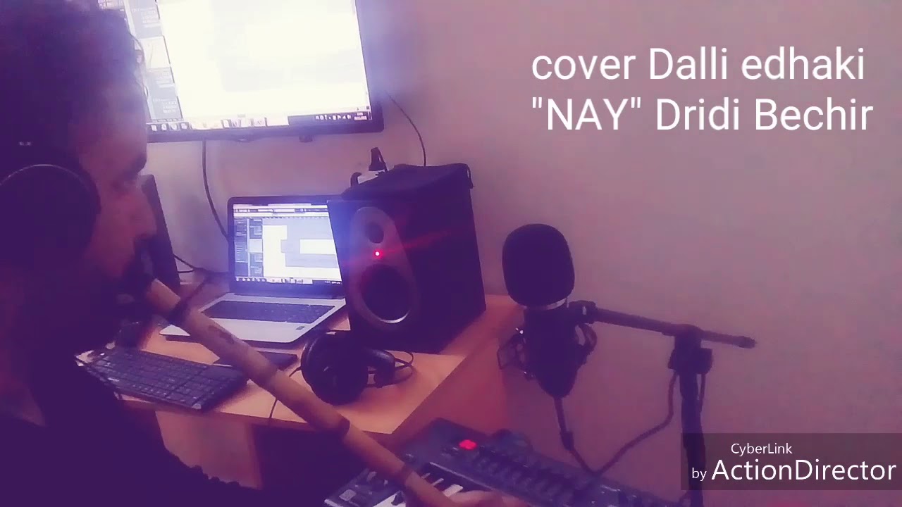 ملحم زين ضلي إضحكي cover  bechir dridi