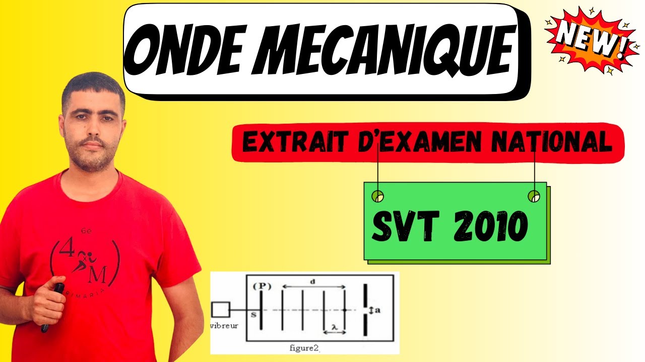 Onde M&eacute;canique Progressive -Examen National 2010 SVT