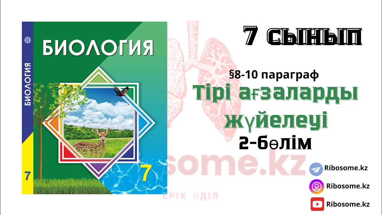 7 сынып Тірі ағзаларды жүйелеу §8-10 тақырып 2-бөлім / Ribosome.kz / Ерік Әділ #биология