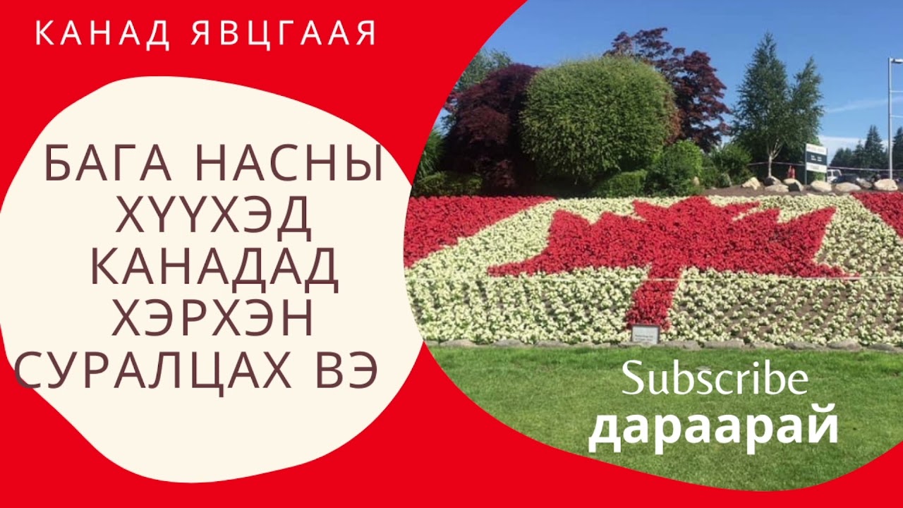 #8. Бага насны (19 хүртэлх ) хүүхэд Канадад хэрхэн суралцах вэ?