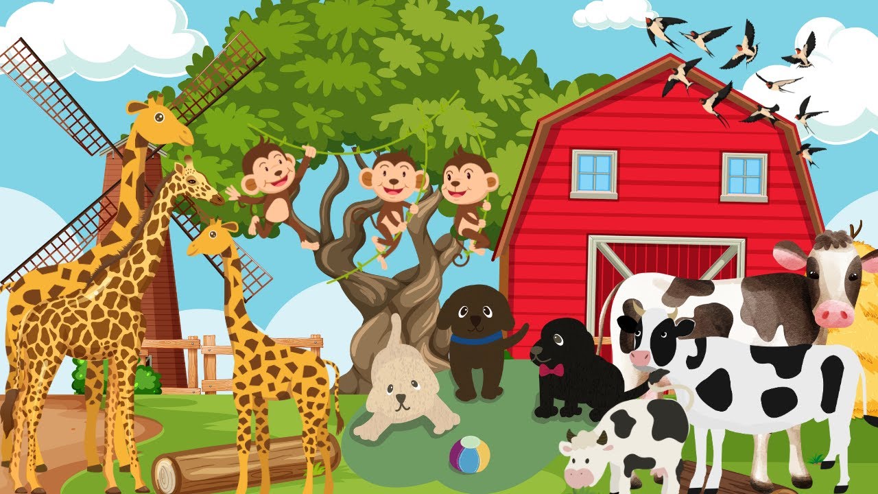 COLLECTIVE NOUNS FOR ANIMALS : KIDS SONG