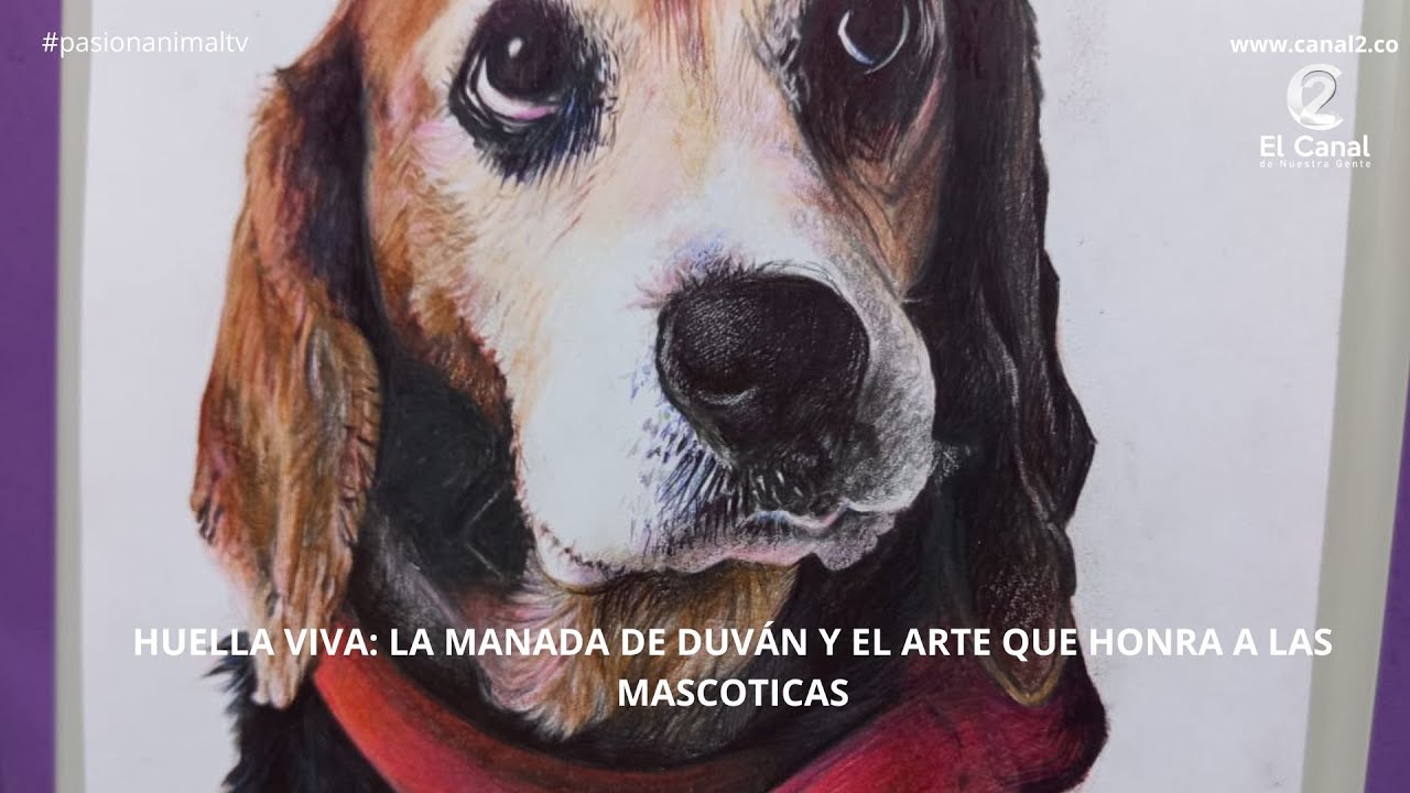 Huella Viva: La Manada de Duván y el Arte que Honra a las Mascoticas - Pasión Animal Tv
