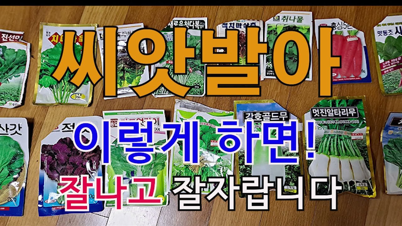 씨앗발아 이렇게 하면 잘 나고 잘자랍니다. 주말농장, 도시텃밭, 옥상농장