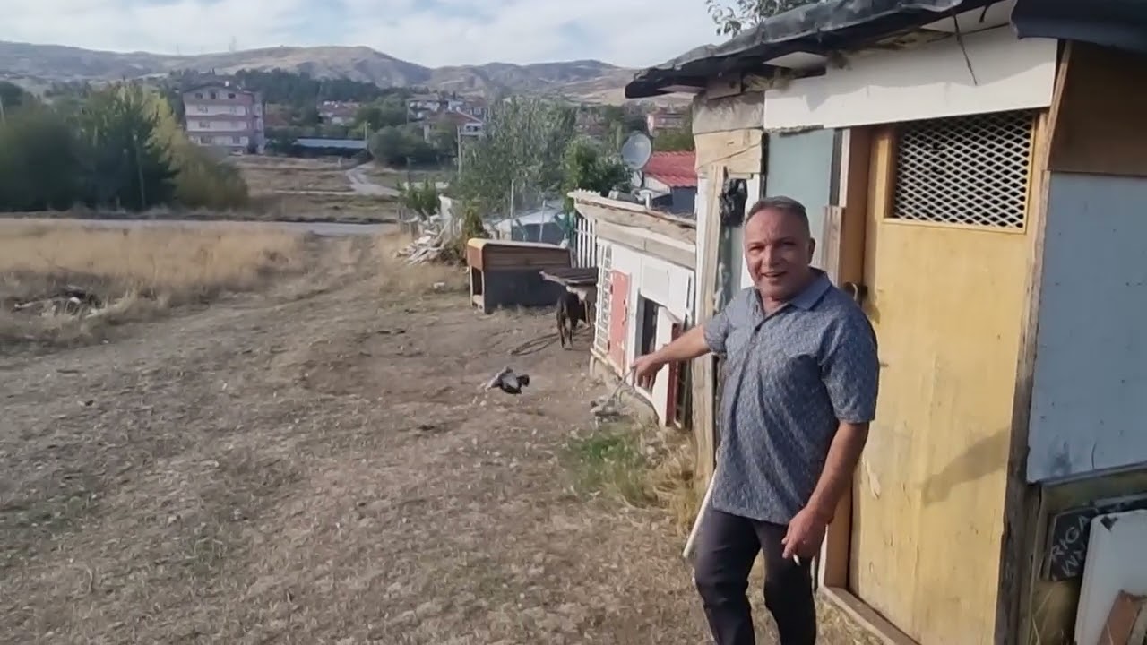 Dünya seyir kuşu turnuvasında ṣu anda 1 incl Numan abinin misafiriyiz