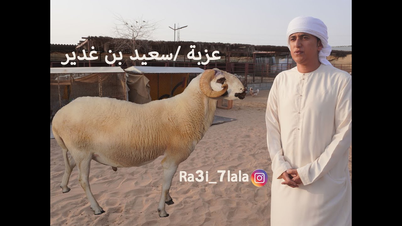 عزبة سعيد  بن غدير القبرصي