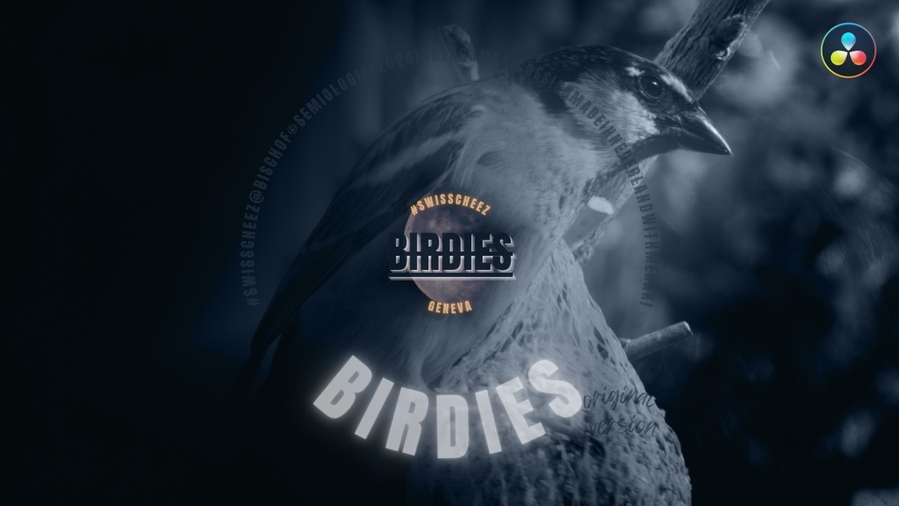 BIRDIES (Switzerland, 2025, FILM, Experimental, MONTAGE, Final, VO, 1080p, 40 min.)