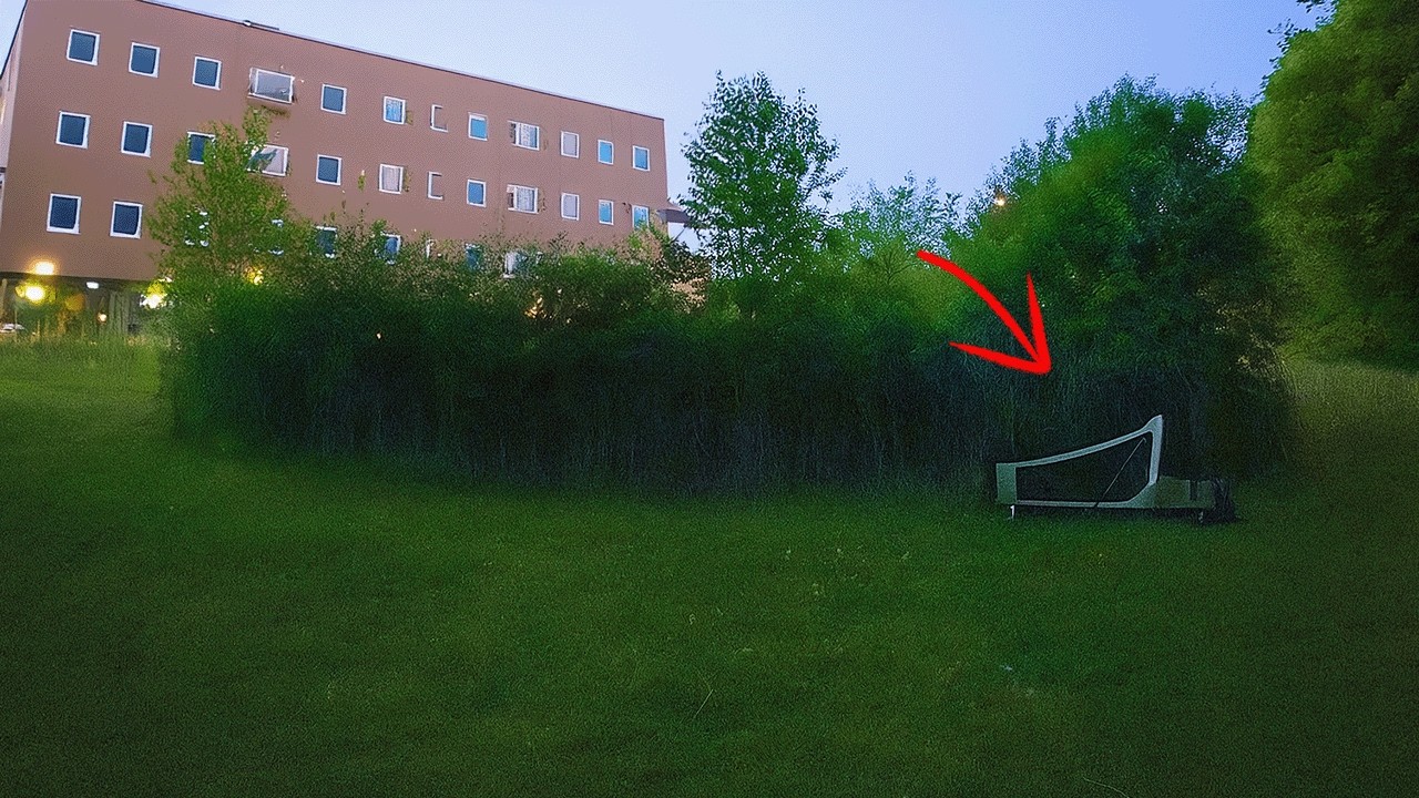 I Secretly Spent the Night Hidden in Landscaping on a College Campus ⛺