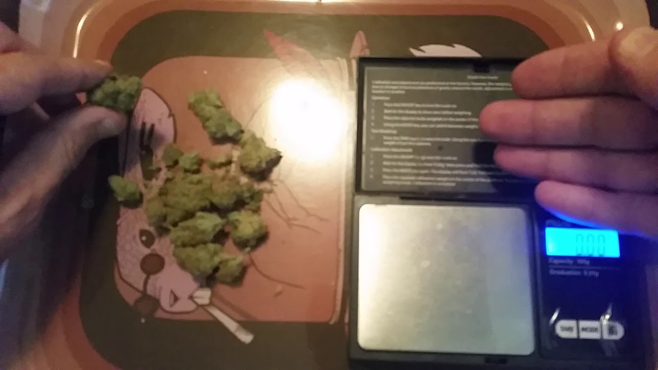 Jack Herer 22% Trulieve
