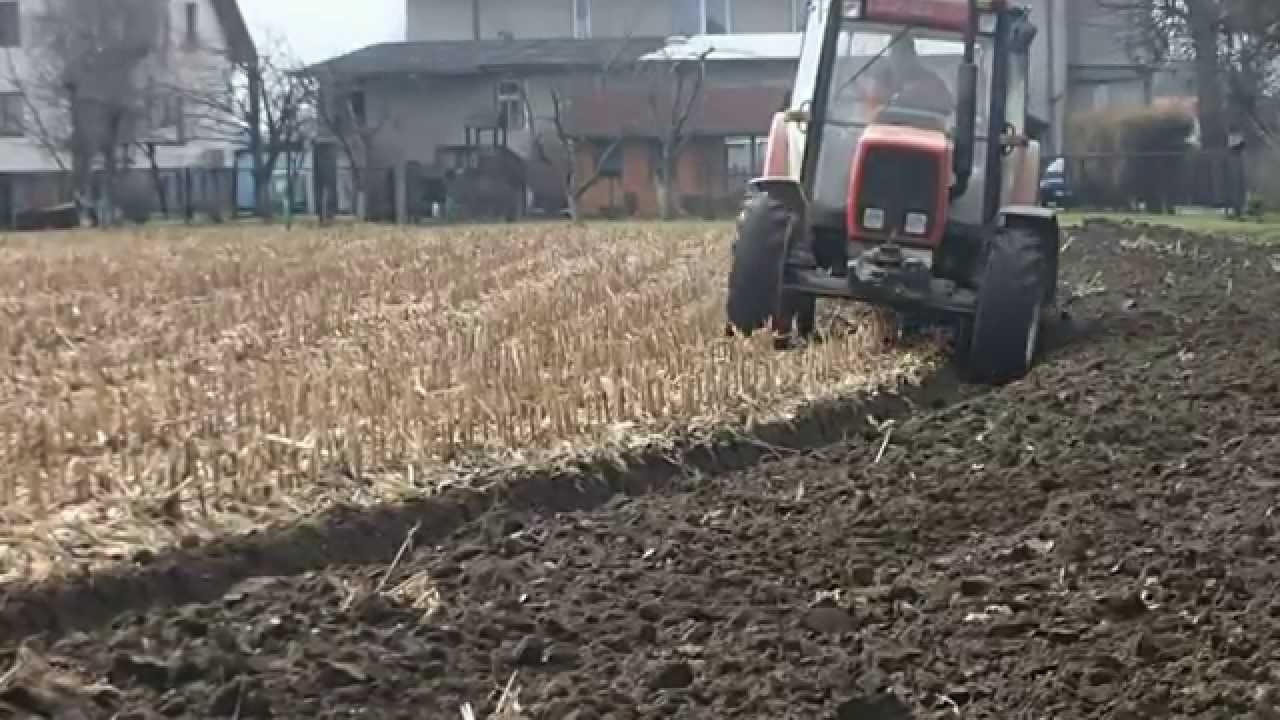 Styczniowa orka po kukurydzy u pana Łukasza - Zetor 9540