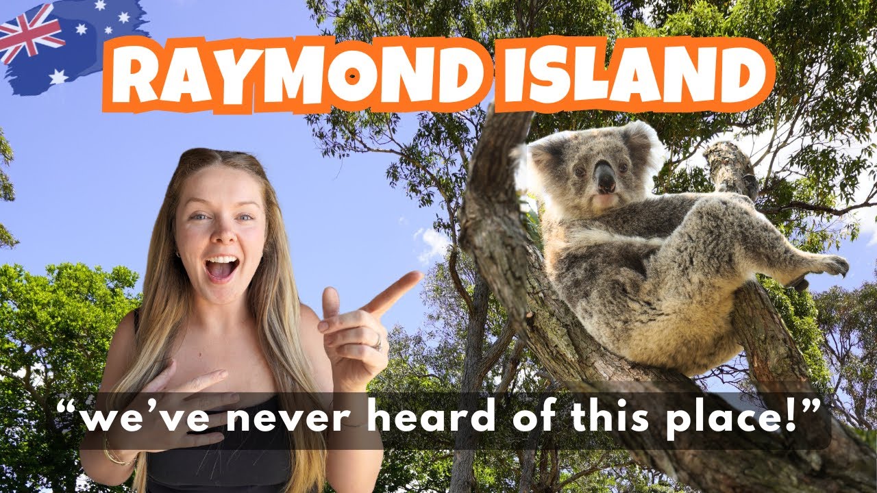 We’ve Never Seen THIS Many Koalas in the Wild! | Raymond Island