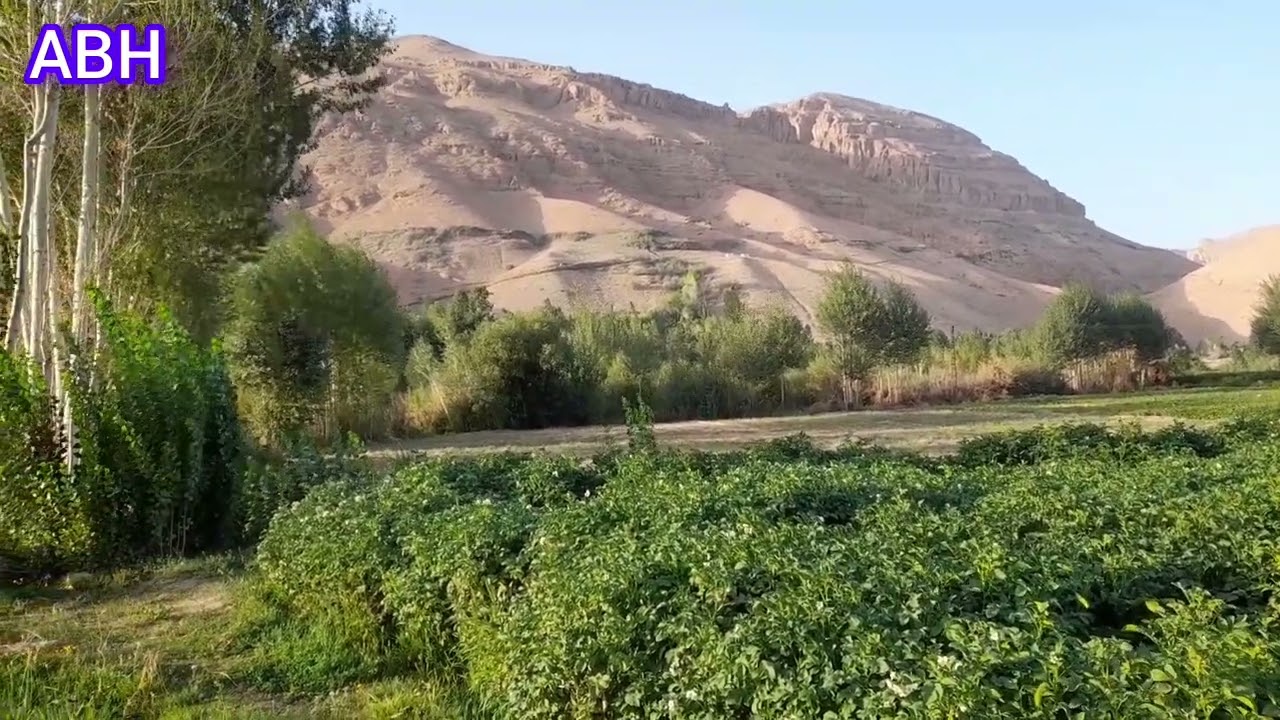 قریه گنبدی (گمبزی) و کشکک در فصل تابستان طبیعت سبز و دلپذیر دارد، تابستان ۱۴۰۴